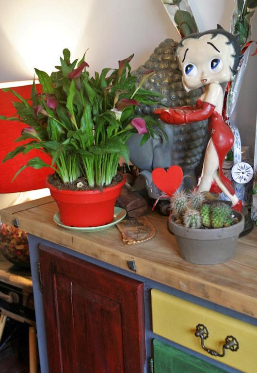 ノワイェ・シュル・シェール Les Petites Mirabelles Bed & Breakfast エクステリア 写真